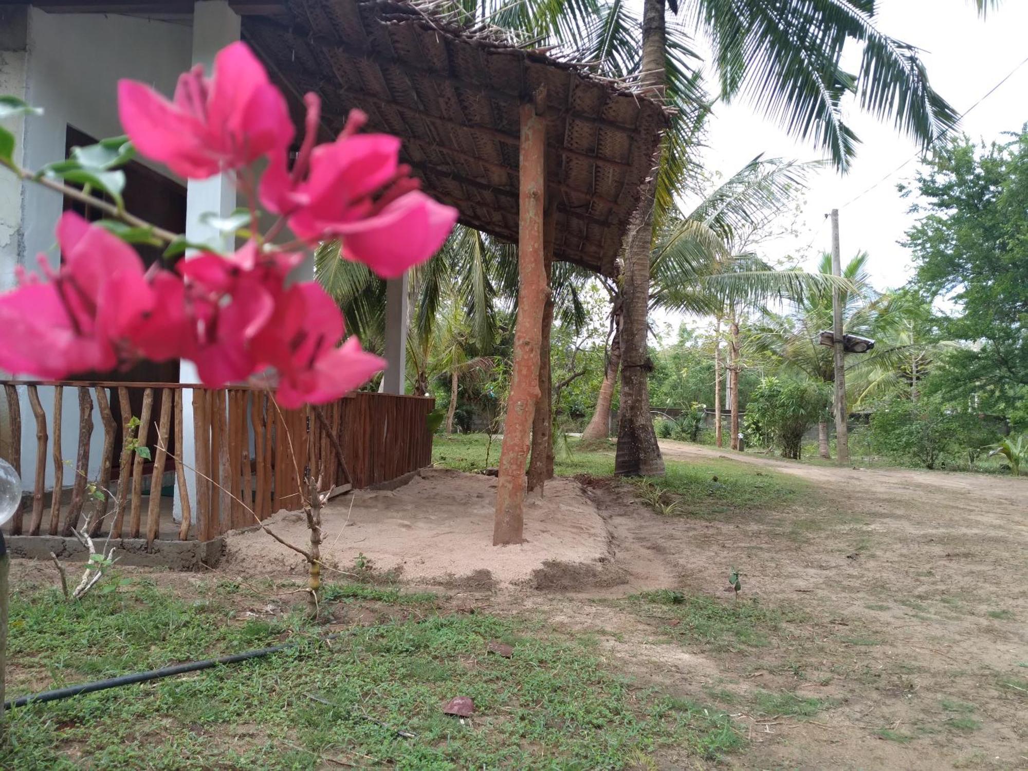 Soma Cabana, Homestay & Restaurant Tangalle Luaran gambar