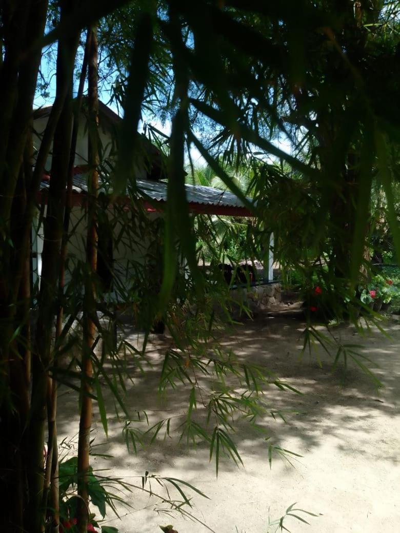 Soma Cabana, Homestay & Restaurant Tangalle Luaran gambar