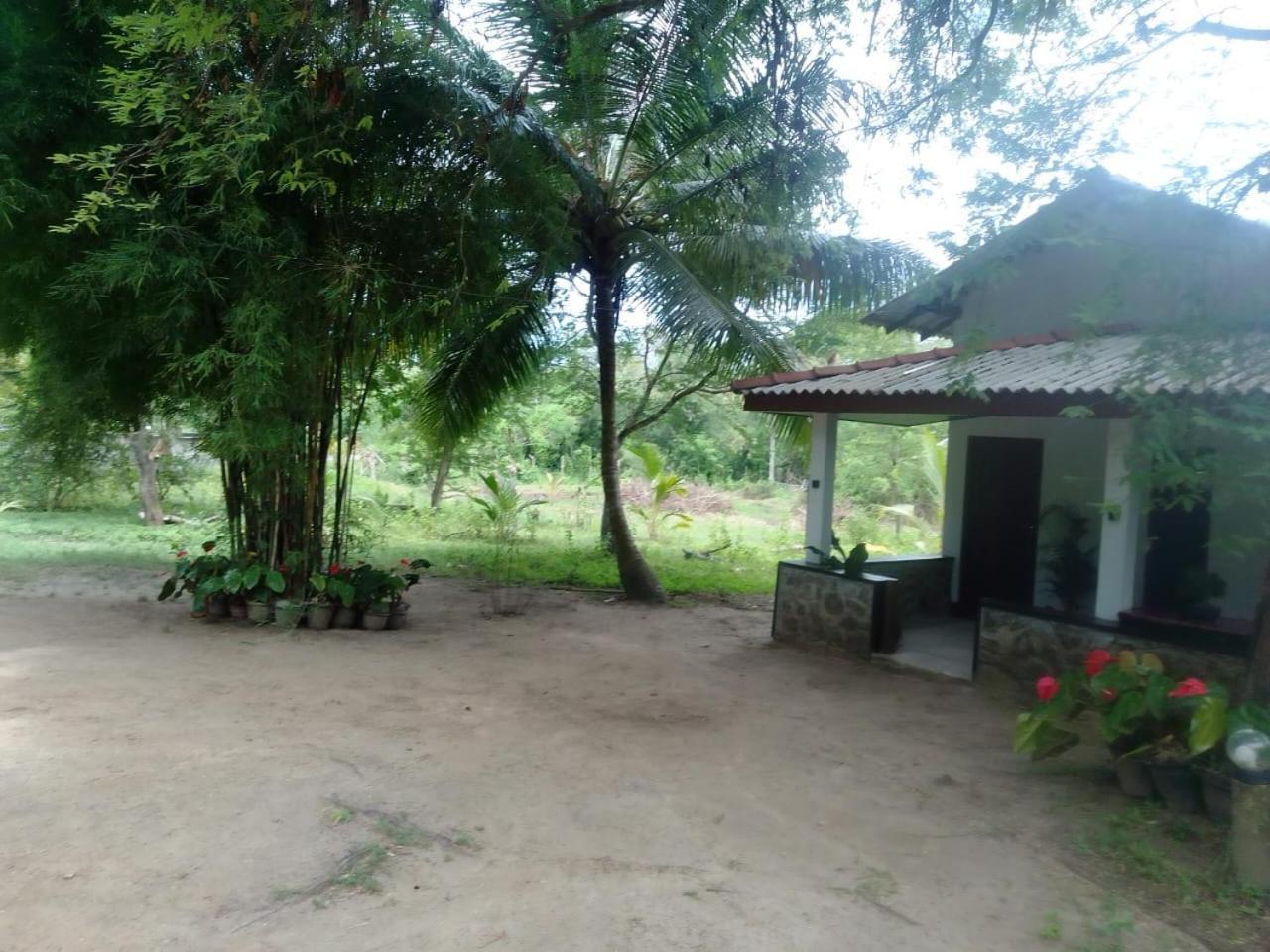 Soma Cabana, Homestay & Restaurant Tangalle Luaran gambar