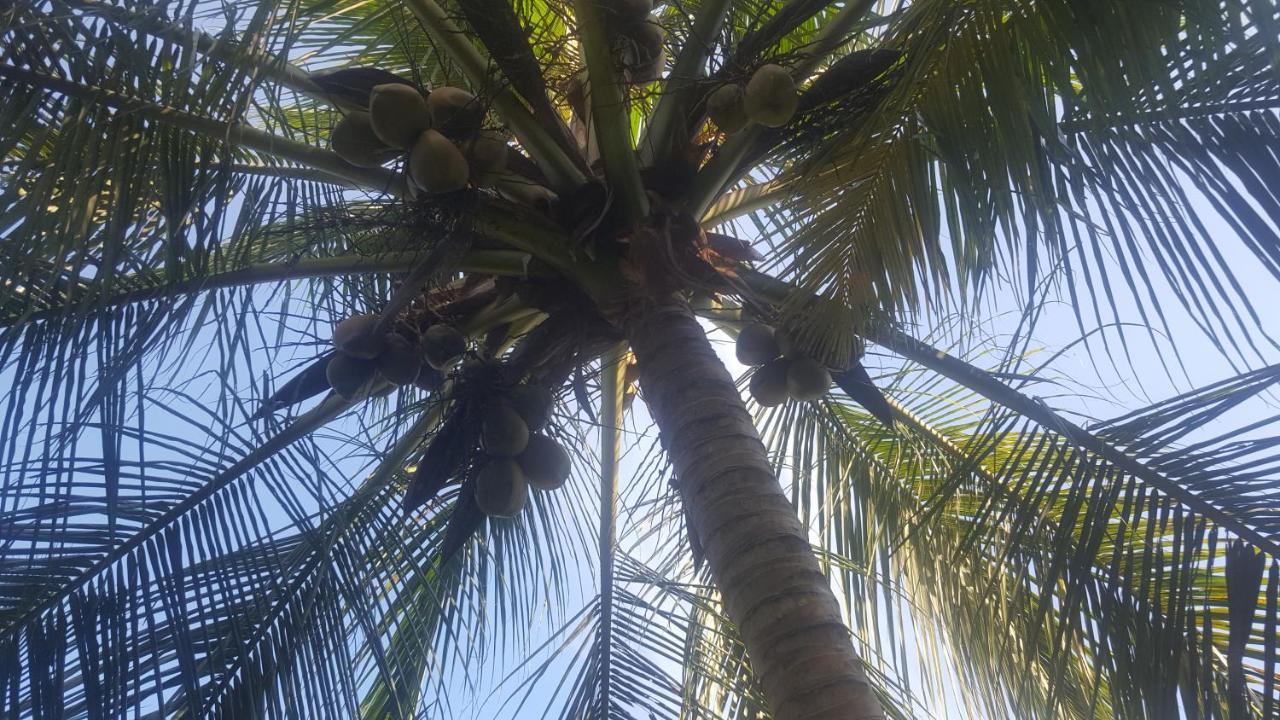 Soma Cabana, Homestay & Restaurant Tangalle Luaran gambar
